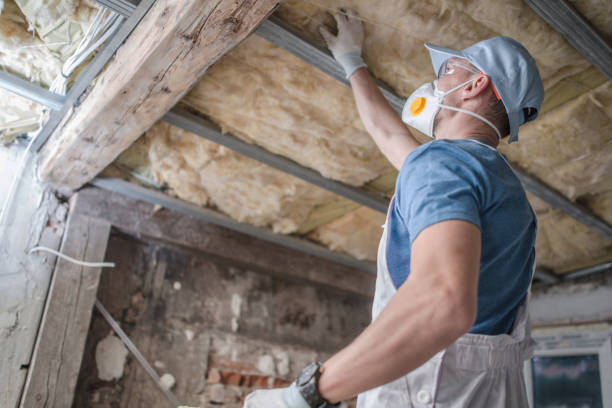 Best Residential Insulation in Dagsboro, DE