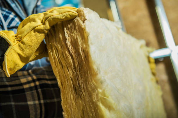 Best Insulation for Specific Applications in Dagsboro, DE