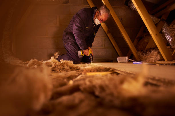 Types of Insulation We Offer in DE